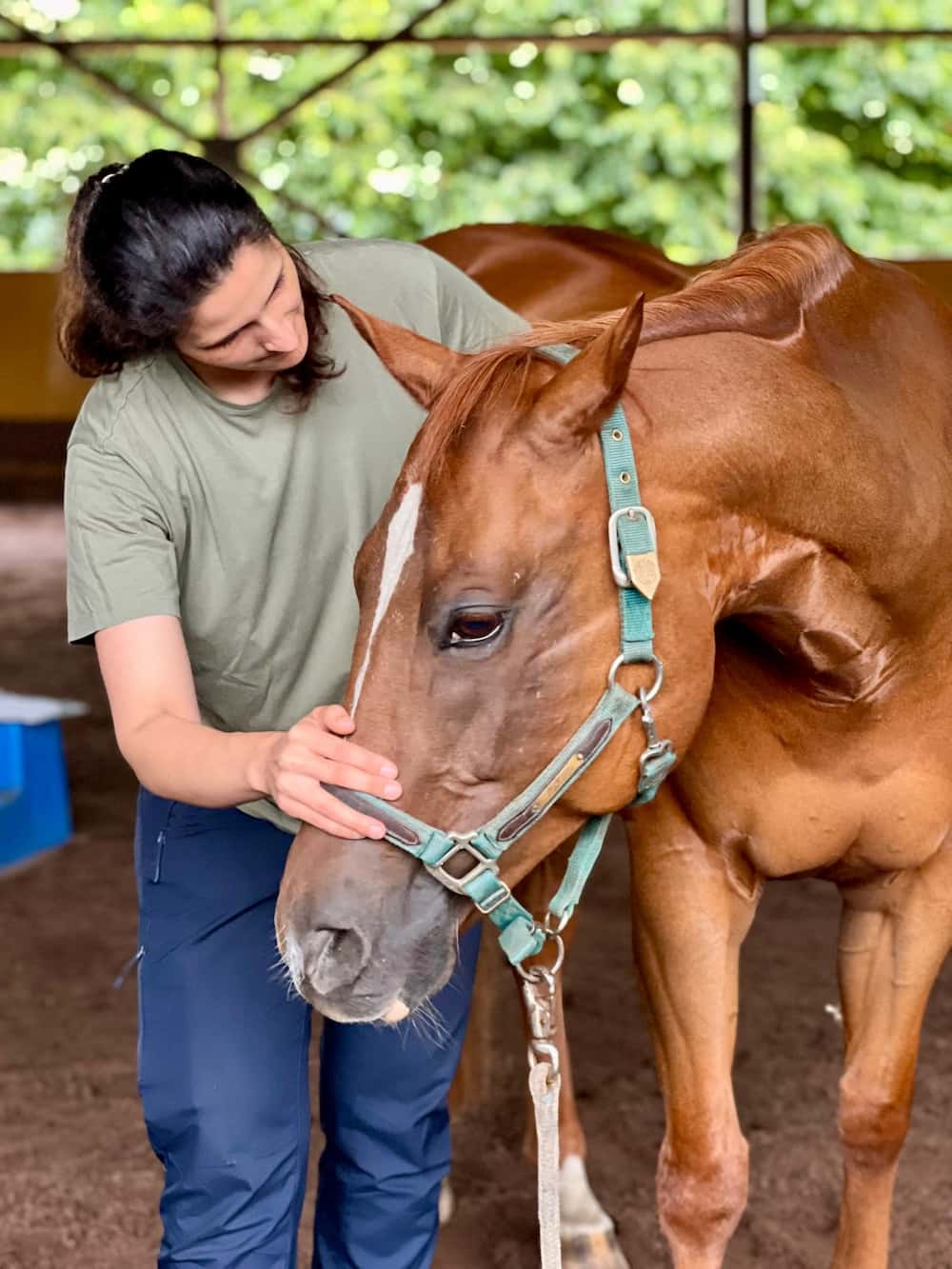 Pferdephysiotherapeutin Jacqueline Winheim bei der Behandlung eines Pferdes in Hollenstedt